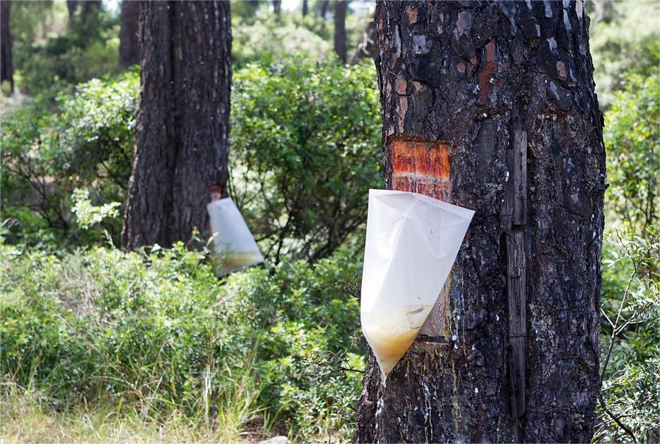 道康寧AFE-1410消泡劑